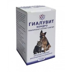 Гиалувит Хондро, 2 мл